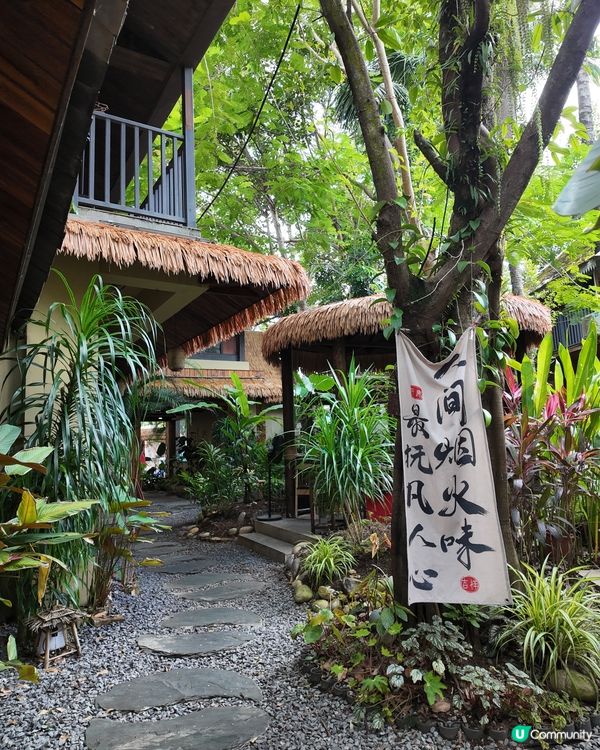 雲南菌香盛宴！🍄 喃山野生菌火鍋🤤