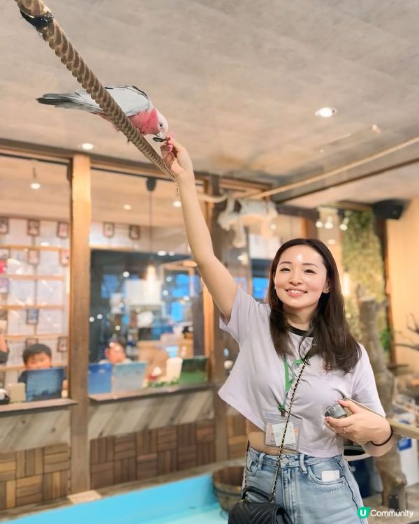 大阪小朋友水豚Cafe互動超開心