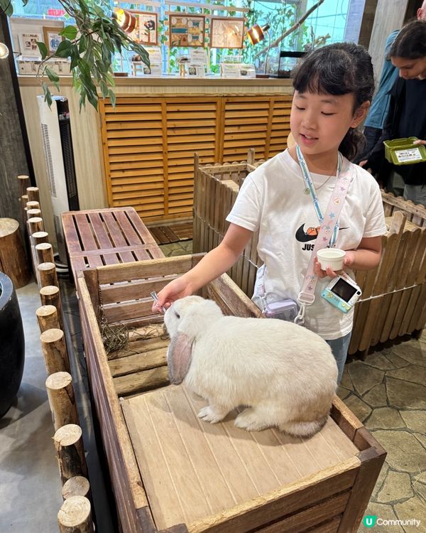 大阪小朋友水豚Cafe互動超開心