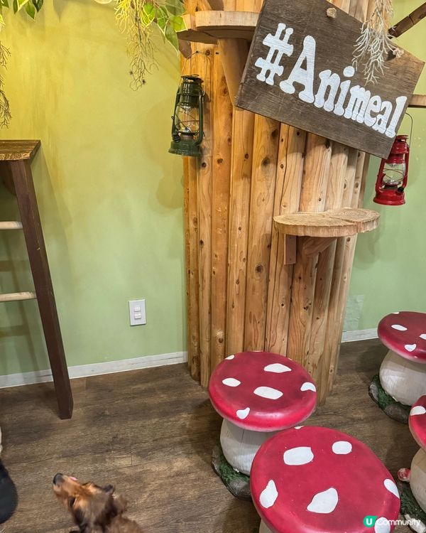大阪小朋友水豚Cafe互動超開心