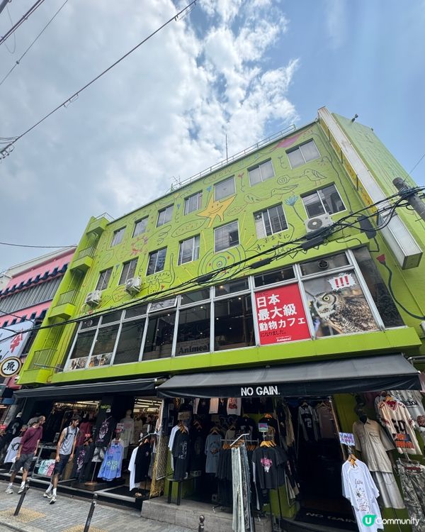 大阪小朋友水豚Cafe互動超開心