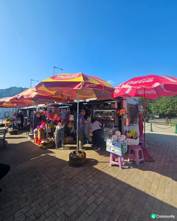 動力衝浪初體驗！🌊 超級好玩！🤩