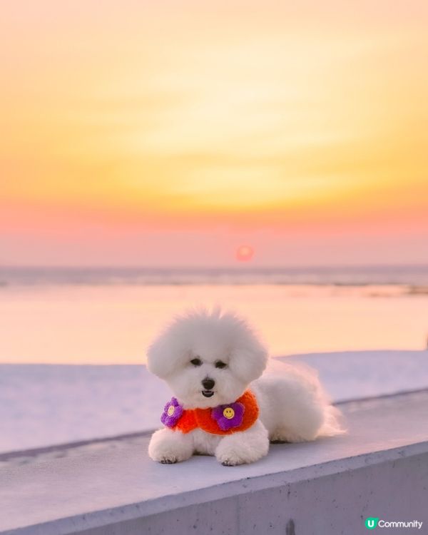 🇯🇵人生建議：唔好去白濱…