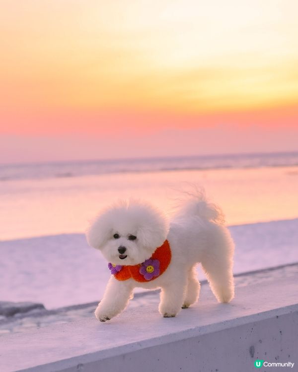 🇯🇵人生建議：唔好去白濱…