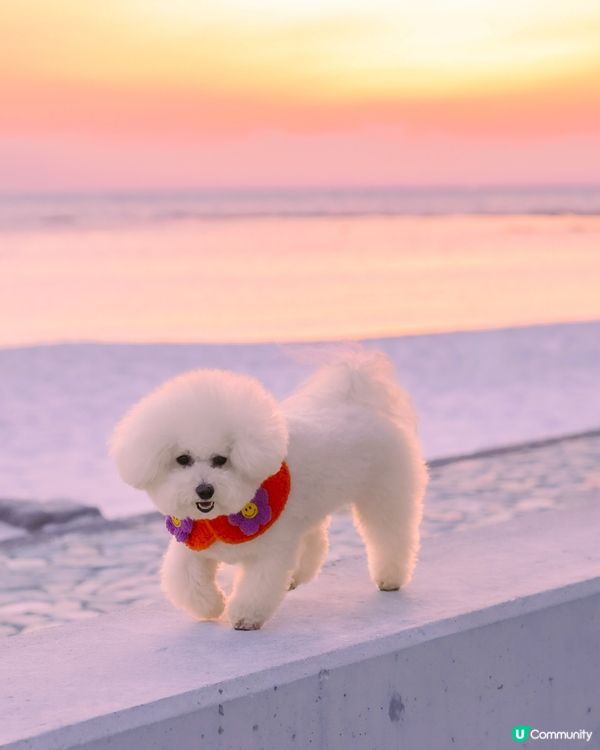 🇯🇵人生建議：唔好去白濱…