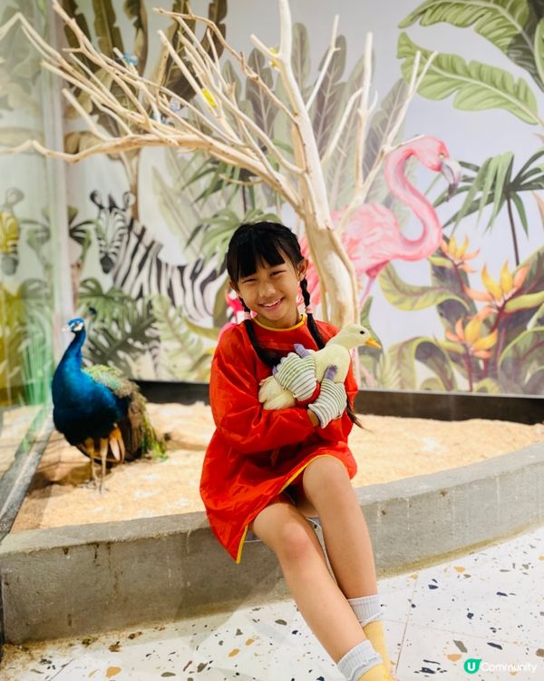 Lollypet寵萌樂園 假日親子遊