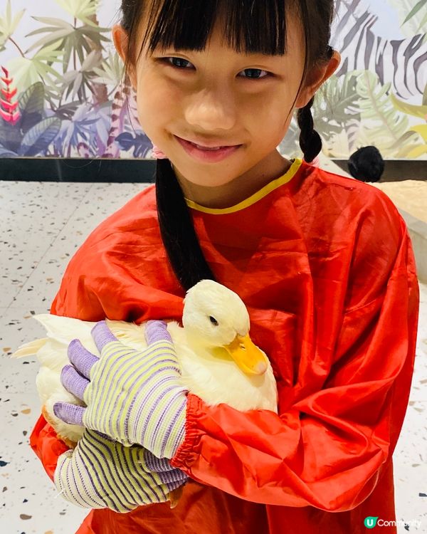 Lollypet寵萌樂園 假日親子遊