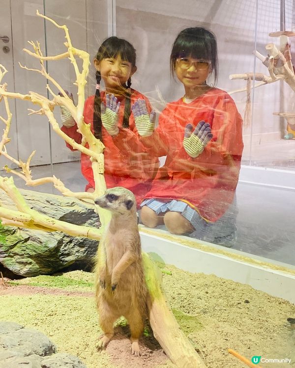 Lollypet寵萌樂園 假日親子遊