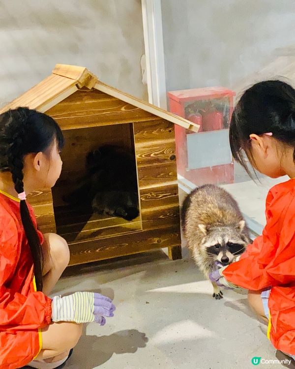 Lollypet寵萌樂園 假日親子遊