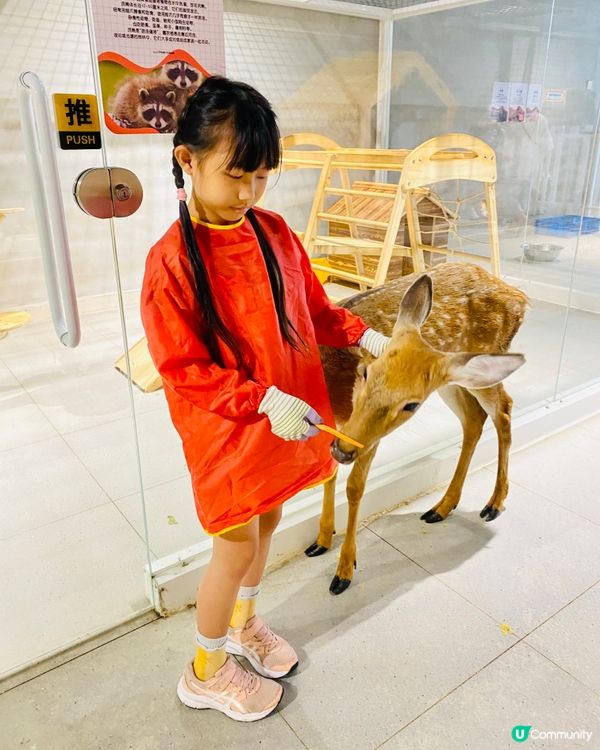 Lollypet寵萌樂園 假日親子遊