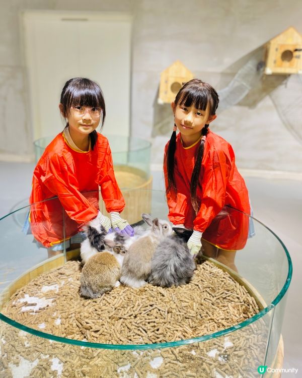 Lollypet寵萌樂園 假日親子遊