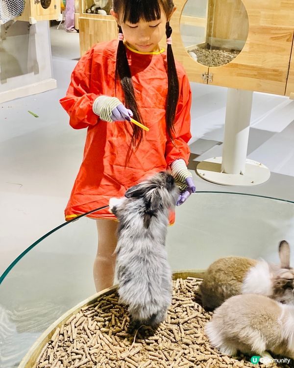 Lollypet寵萌樂園 假日親子遊