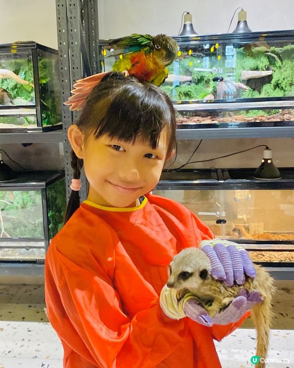 Lollypet寵萌樂園 假日親子遊