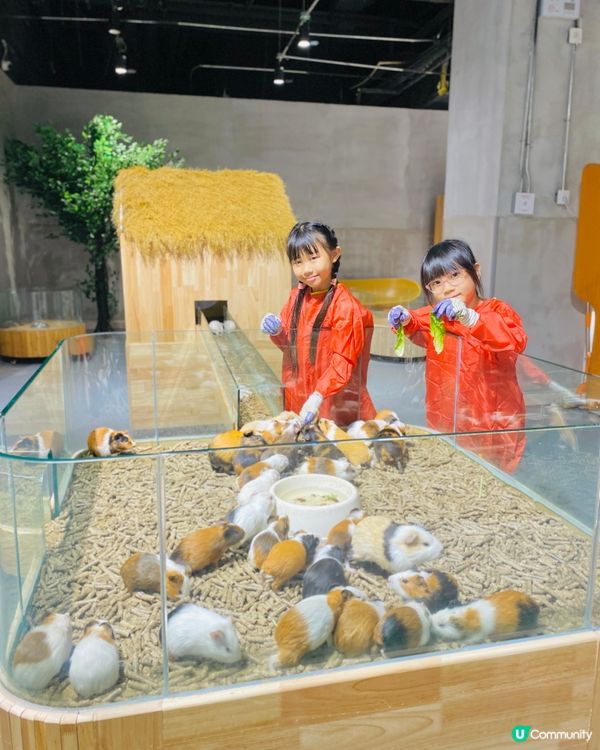 Lollypet寵萌樂園 假日親子遊