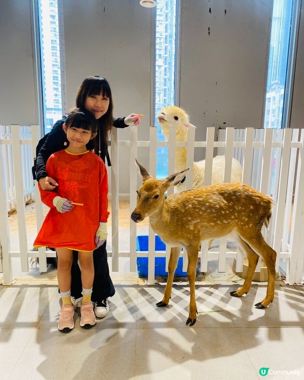 Lollypet寵萌樂園 假日親子遊