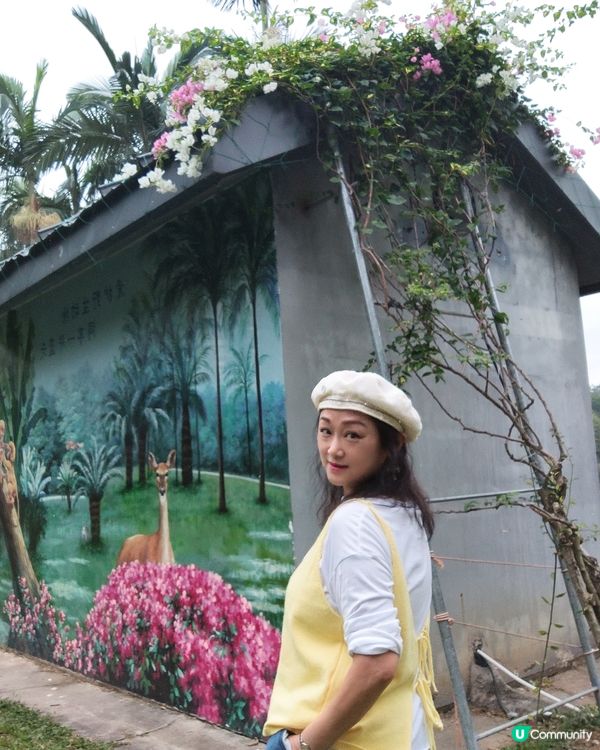 💐我愛花花💐之深圳蓮花山簕杜鵑花展🌸#深圳花海😍