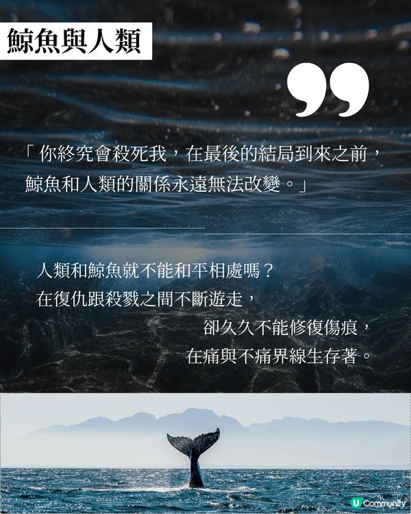 鯨魚復仇記！深海惡魔😈 