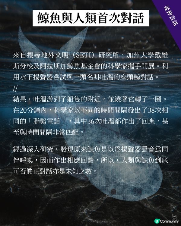 鯨魚復仇記！深海惡魔😈 