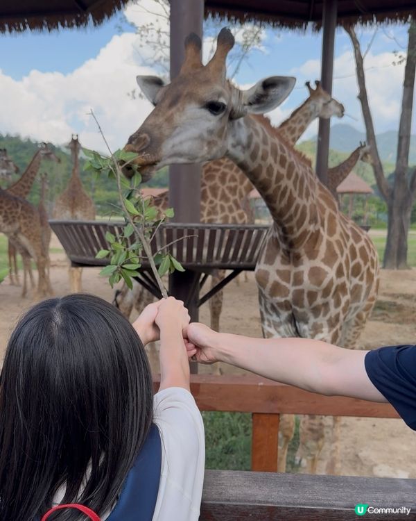 長隆酒店勁減！聖誕假期都啱玩！🎄🏨