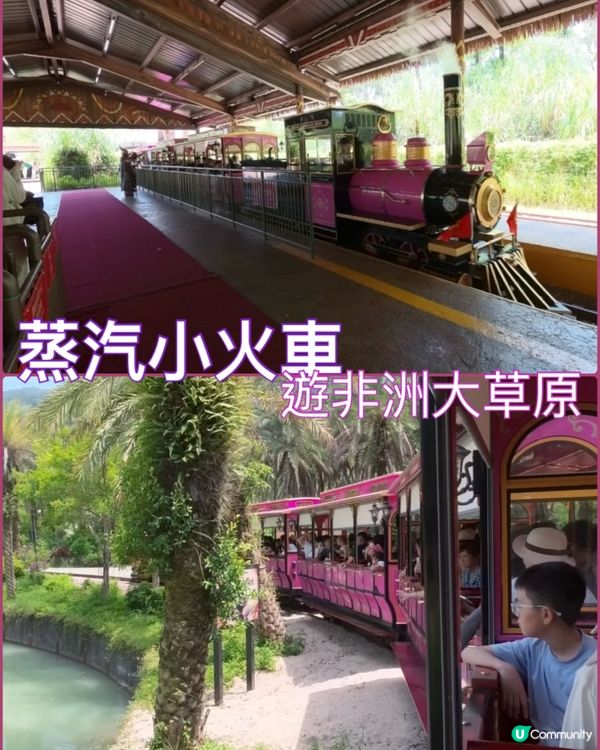 長隆酒店勁減！聖誕假期都啱玩！🎄🏨