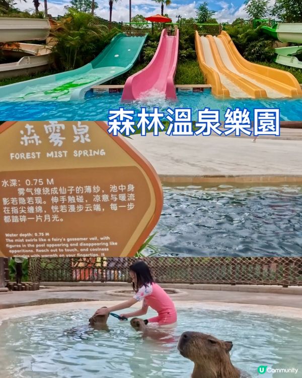 長隆酒店勁減！聖誕假期都啱玩！🎄🏨