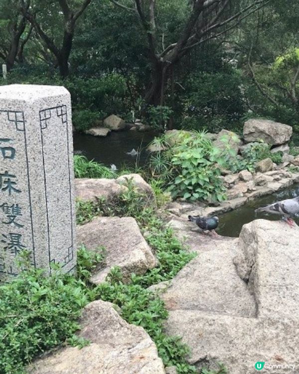 預防蚊蟲好幫手