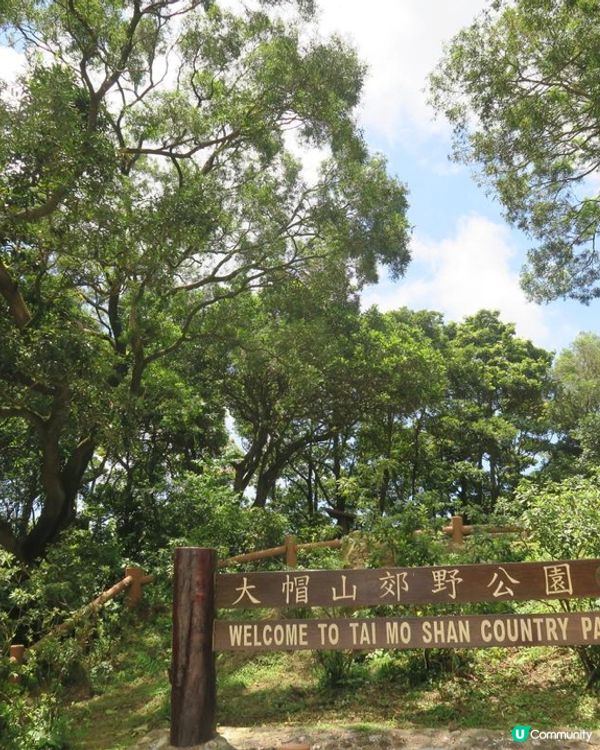 預防蚊蟲好幫手