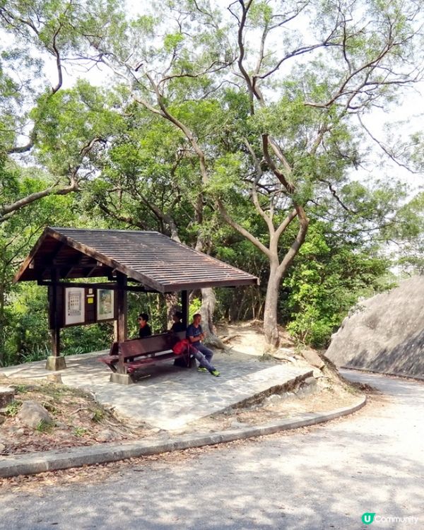 預防蚊蟲好幫手