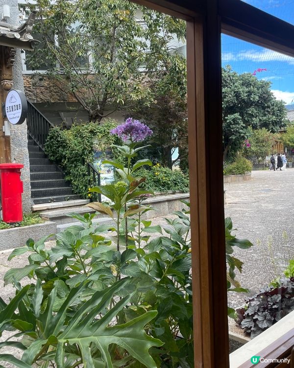 牦牛火鍋🍲！束河古鎮暖笠笠之旅🔥！