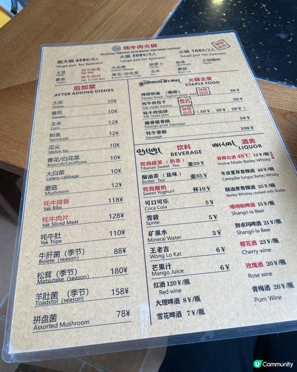 牦牛火鍋🍲！束河古鎮暖笠笠之旅🔥！