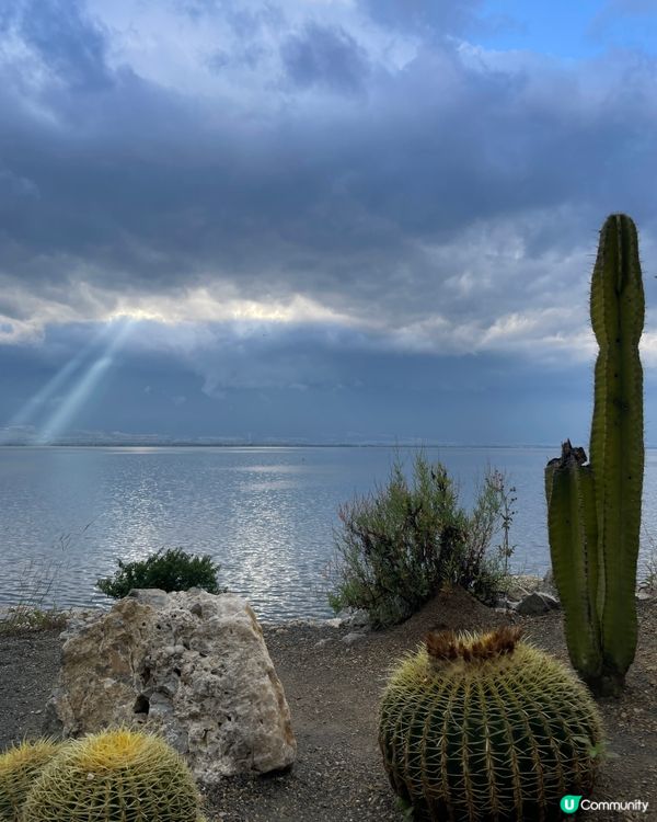 大理海東文筆村，慢活之旅！☕️📸