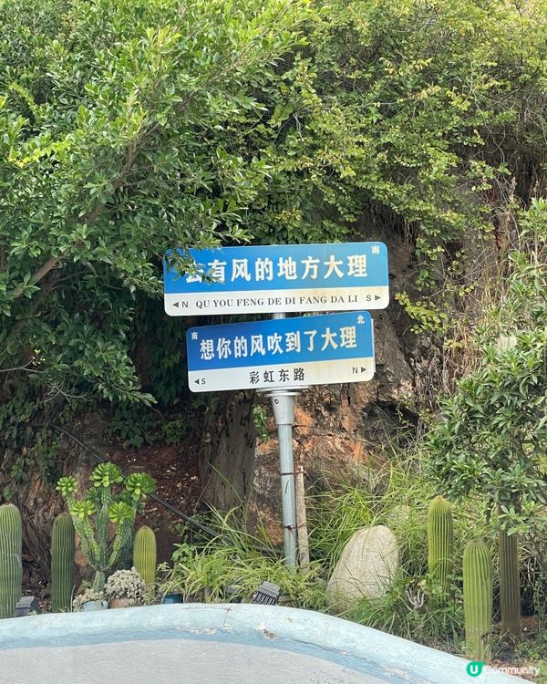 大理海東文筆村，慢活之旅！☕️📸