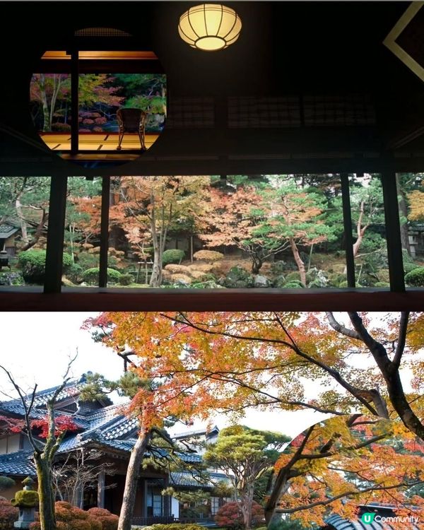 新潟紅葉🍁！北方文化博物館🤩