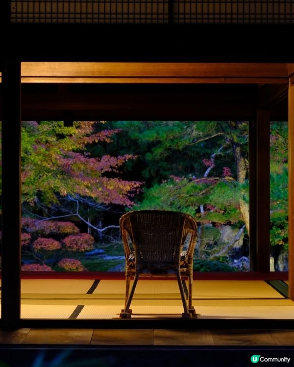 新潟紅葉🍁！北方文化博物館🤩