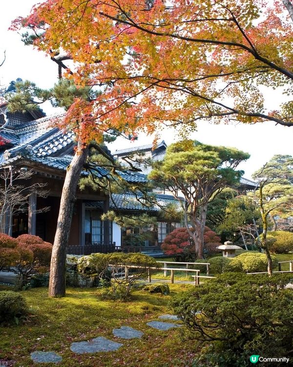 新潟紅葉🍁！北方文化博物館🤩