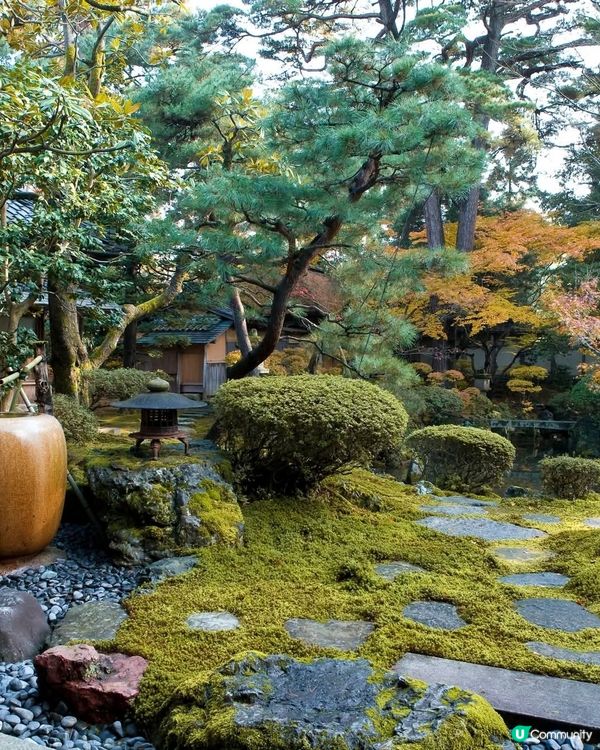 新潟紅葉🍁！北方文化博物館🤩