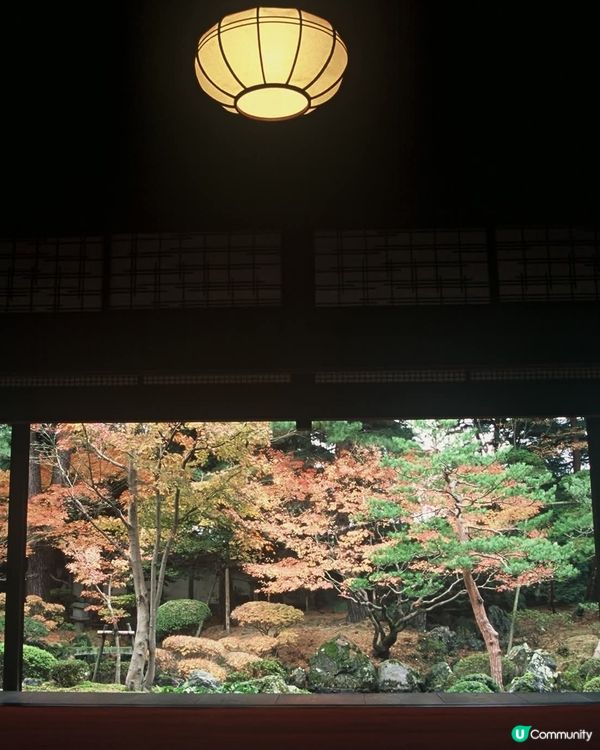 新潟紅葉🍁！北方文化博物館🤩