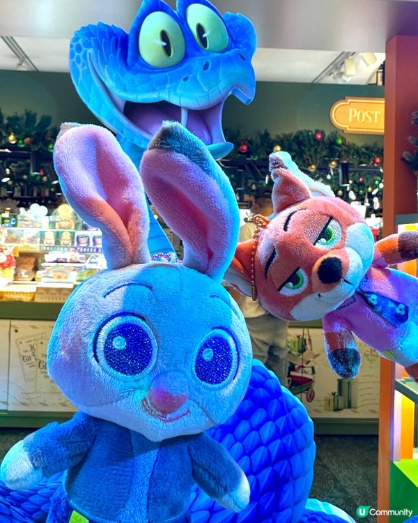 🐰Judy 出現啦！見到咁靚嘅兔兔真係🤣無聲出～