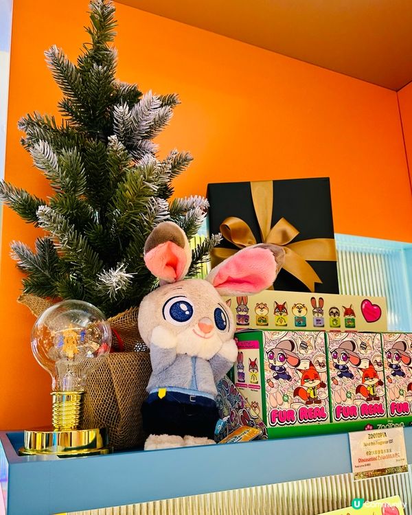 🐰Judy 出現啦！見到咁靚嘅兔兔真係🤣無聲出～