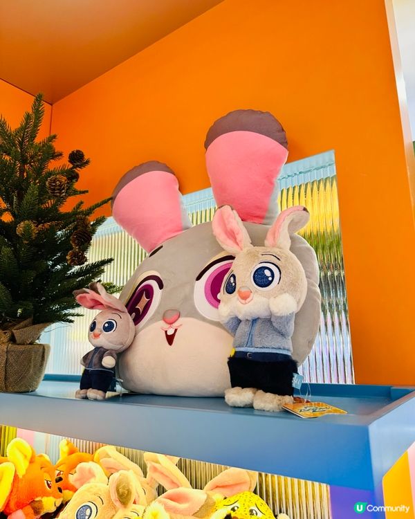 🐰Judy 出現啦！見到咁靚嘅兔兔真係🤣無聲出～