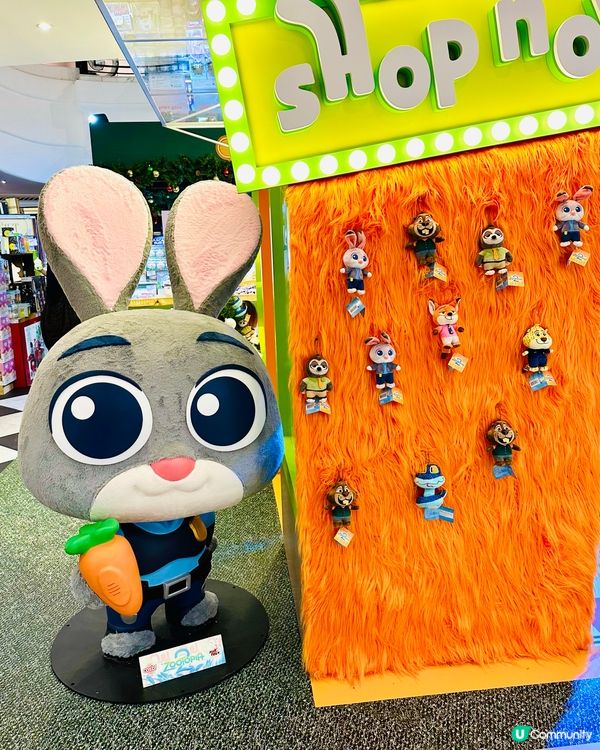 🐰Judy 出現啦！見到咁靚嘅兔兔真係🤣無聲出～