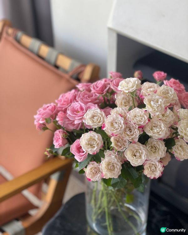 民宿寵客到癲！雪山湯池♨️😍