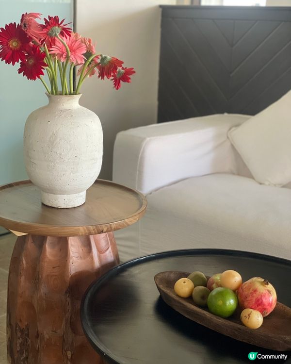 民宿寵客到癲！雪山湯池♨️😍