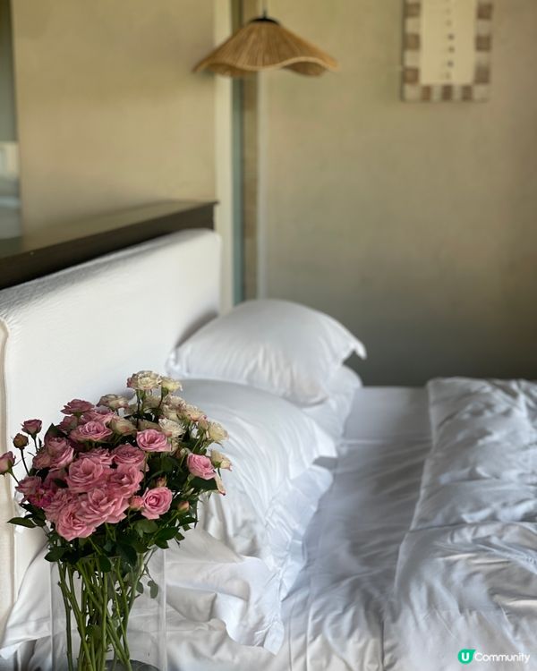 民宿寵客到癲！雪山湯池♨️😍