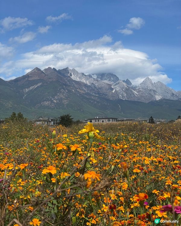 民宿寵客到癲！雪山湯池♨️😍