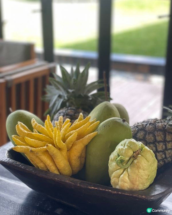 民宿寵客到癲！雪山湯池♨️😍