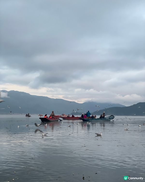 瀘沽湖晨霧仙境之旅 ☁️ 水性楊花超夢幻！🌸
