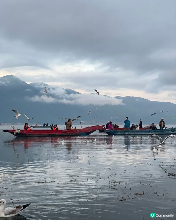 瀘沽湖晨霧仙境之旅 ☁️ 水性楊花超夢幻！🌸