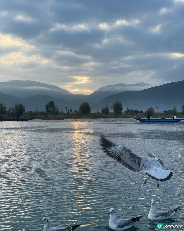 瀘沽湖晨霧仙境之旅 ☁️ 水性楊花超夢幻！🌸