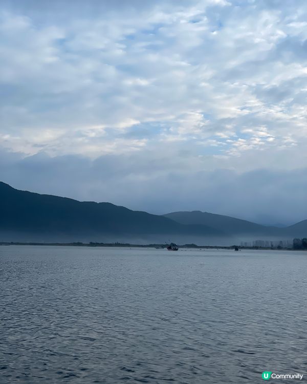 瀘沽湖晨霧仙境之旅 ☁️ 水性楊花超夢幻！🌸